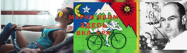 PSILOCYBIN Армянск