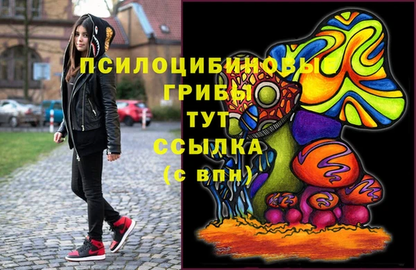 apvp Арсеньев