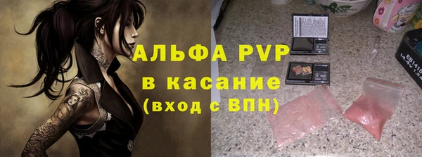 PSILOCYBIN Армянск