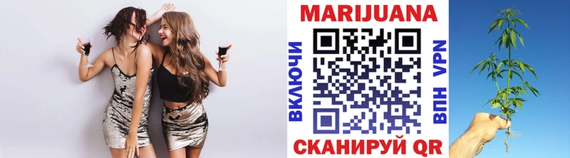 Канабис гибрид  Мезень 